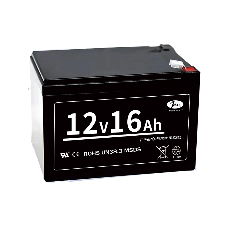 Lithium Ion Traction Battery