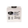 12V 20Ah SLA Sealed Lead Acid Alarm UPS System Battery AGM